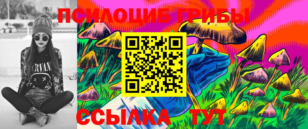 Мценск  Галлюциногенные грибы Cubensis  Вход с VPN  Псилоцибиновые грибы Cubensis 